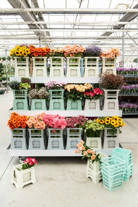 Aykasa 232825 Midi Almond Green Vazo Üst - 6