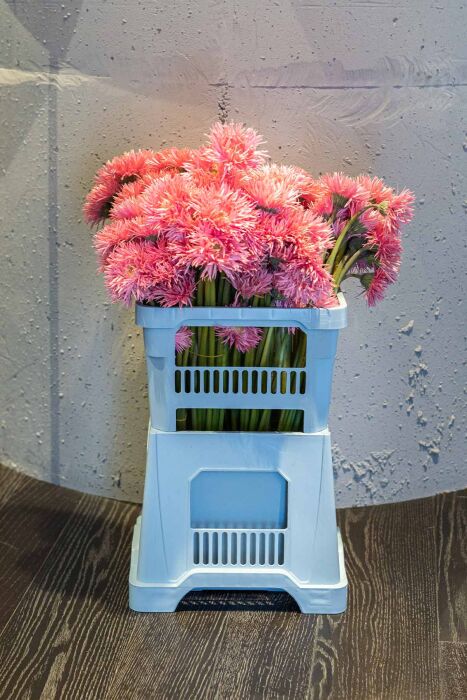 Aykasa 232825 Midi Baby Blue Vazo Üst - 6