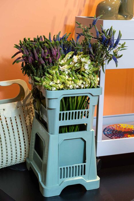 Aykasa 232825 Midi Baby Blue Vazo Üst - 7