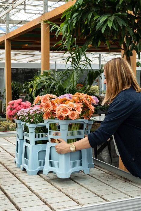 Aykasa 232825 Midi Boulder Vazo Üst - 9