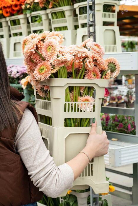 Aykasa 232825 Midi Strawberry Vazo Üst - 5