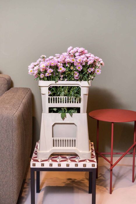 Aykasa 232825 Midi Strawberry Vazo Üst - 7