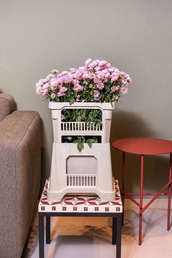 Aykasa 232825 Midi Strawberry Vazo Üst - 7