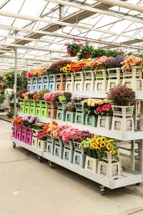 Aykasa 232825 Midi Strawberry Vazo Üst - 11