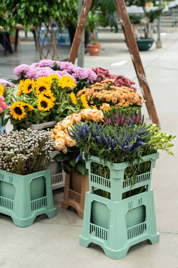 Aykasa 253025 Midi Boulder Vazo Alt - 8