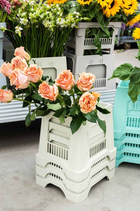 Aykasa 253025 Midi Strawberry Vazo Alt - 11