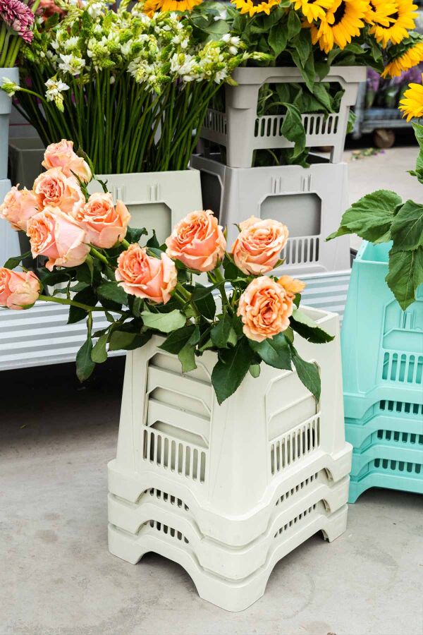 Aykasa 253025 Midi Strawberry Vazo Alt - 11