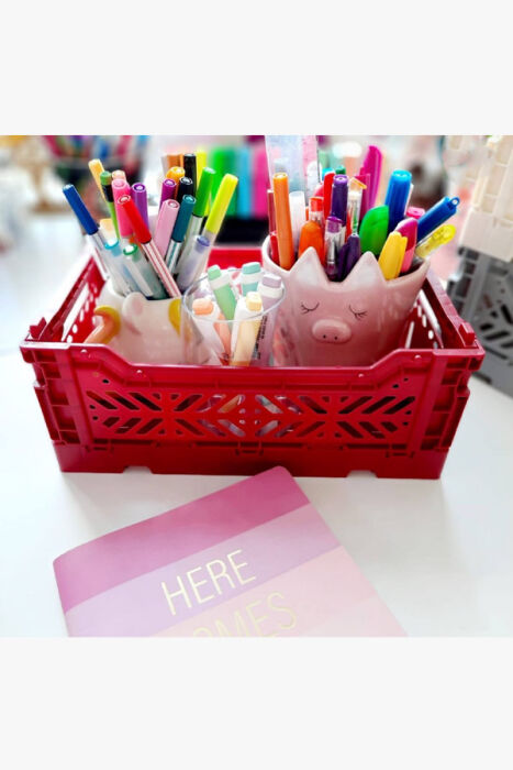 Aykasa 261710 Minibox Chilli Pepper Katlanabilir Kasa - 5