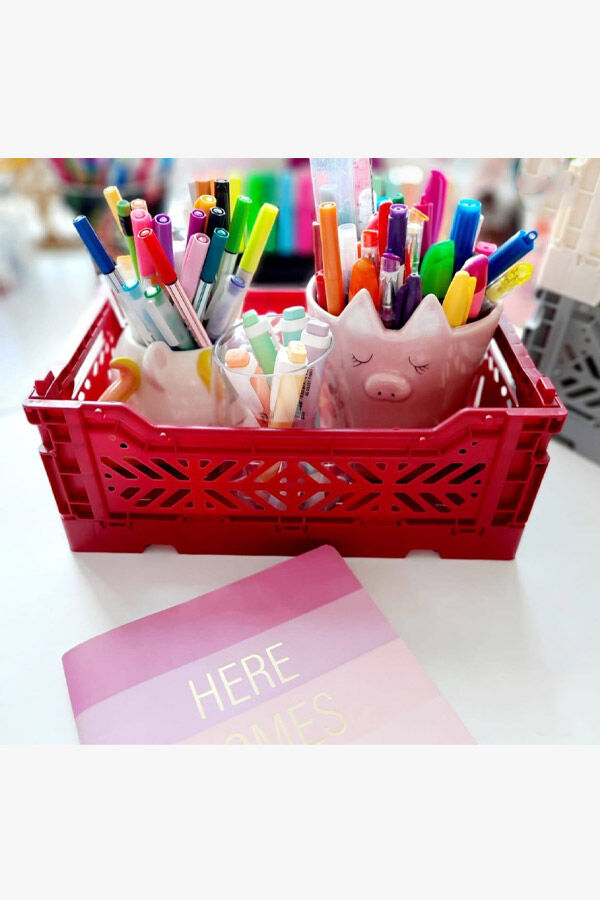 Aykasa 261710 Minibox Chilli Pepper Katlanabilir Kasa - 5