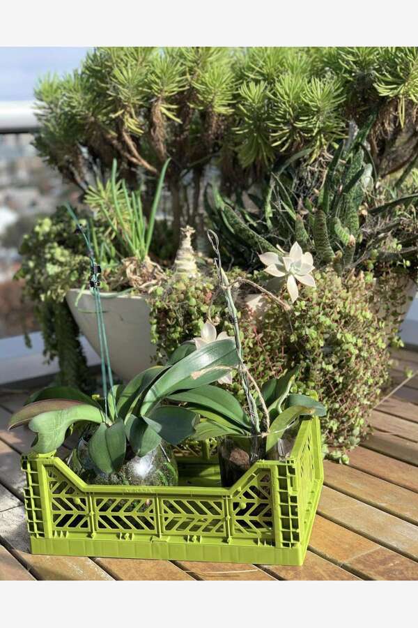 Aykasa 403014 Midibox Olive Katlanabilir Kasa - 5