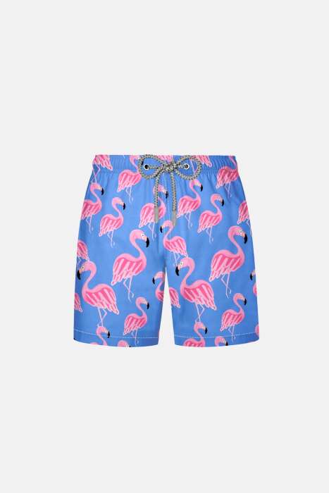 Ayyıldız 106 Mavi Desenli Erkek Çocuk Deniz Şortu - 1