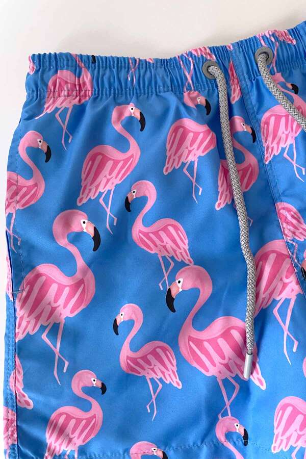 Ayyıldız 106 Mavi Desenli Erkek Çocuk Deniz Şortu - 2