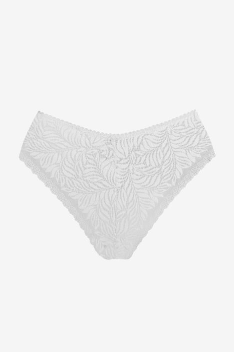 Ayyıldız 2022 Beyaz Külot - 5