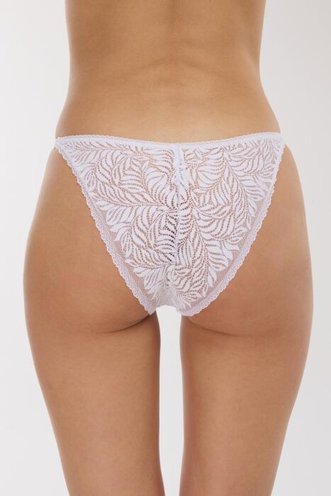 Ayyıldız 2023 Beyaz Külot - 3