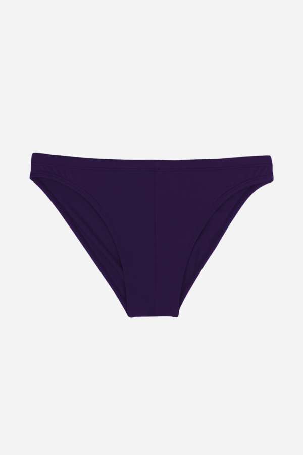 Ayyıldız 222 Erkek Mor Slip Mayo - 1