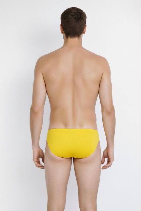 Ayyıldız 222 Erkek Sarı Slip Mayo - (1)
