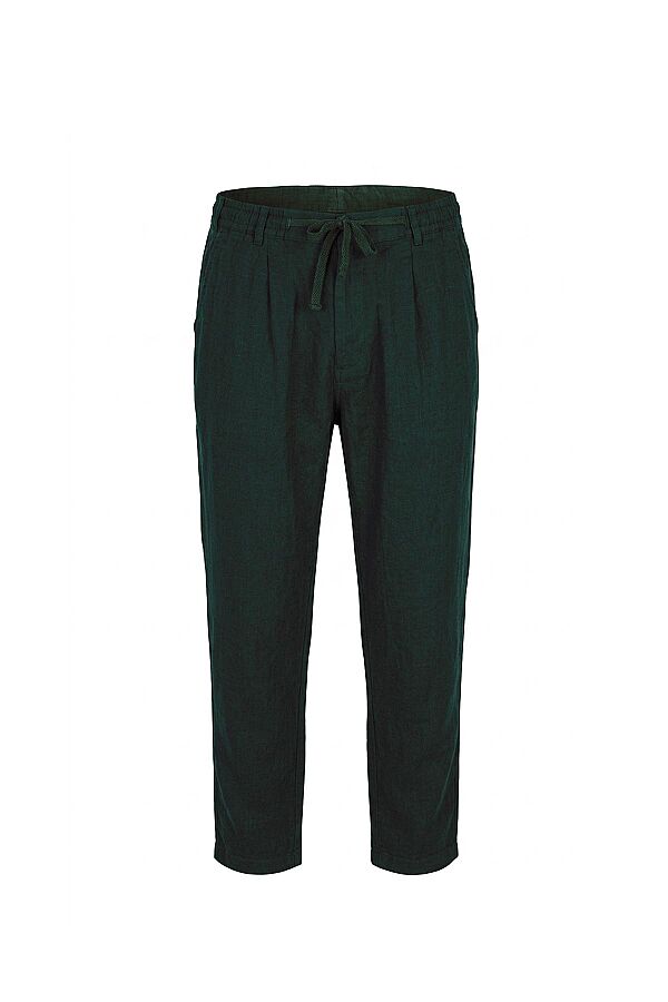 Ayyıldız 59524 Erkek Yeşil Pantolon - 2