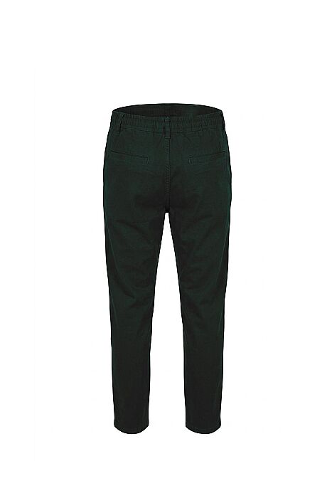 Ayyıldız 59524 Erkek Yeşil Pantolon - 3