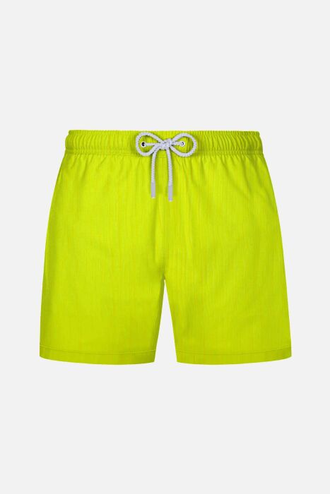 Ayyıldız 842 Erkek Açık Sarı Desenli Deniz Şortu - 1