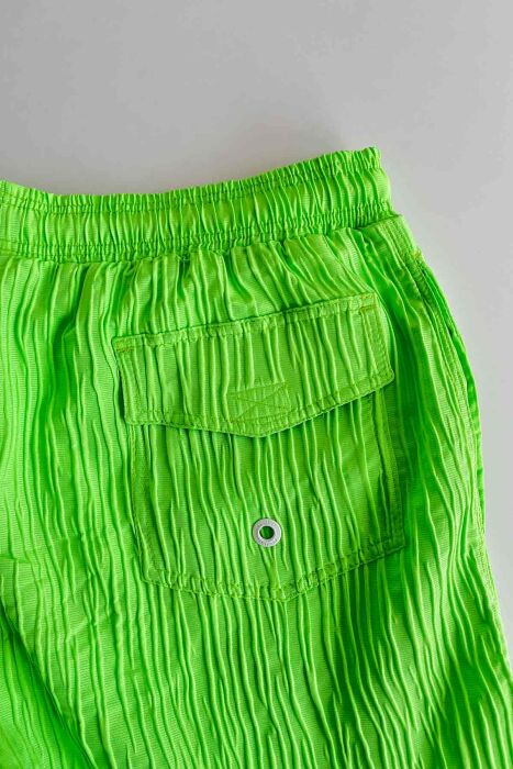 Ayyıldız 842 Erkek Açık Yeşil Desenli Deniz Şortu - 4