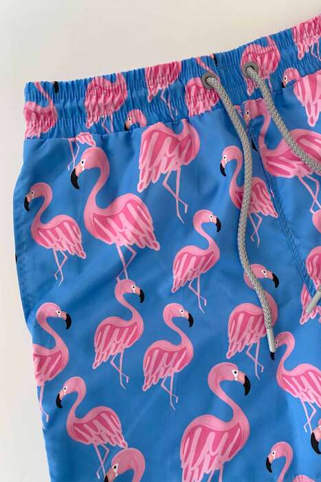 Ayyıldız 845 Erkek Mavi Pembe Desenli Deniz Şortu - AYYILDIZ (1)