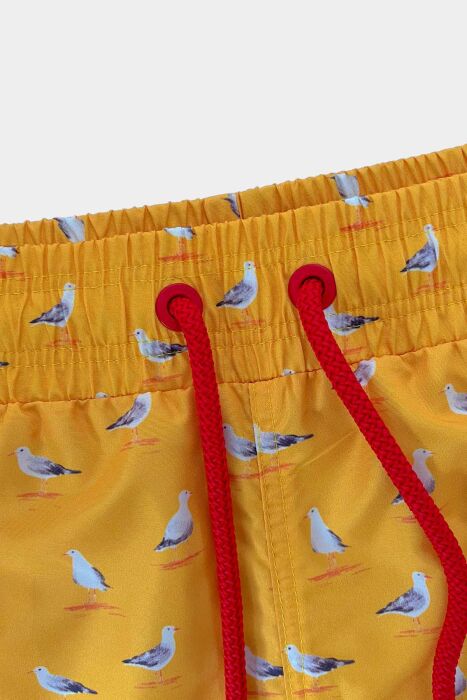 Ayyıldız 845 Erkek Sarı Martı Desenli Deniz Şortu - 3