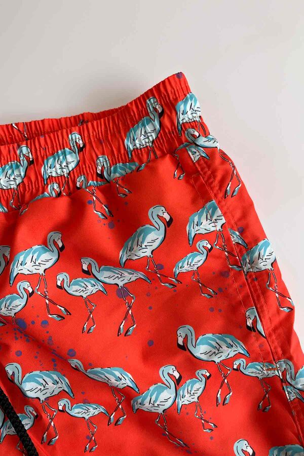 Ayyıldız 845 Erkek Turuncu Flamingo Desenli Deniz Şortu - 3
