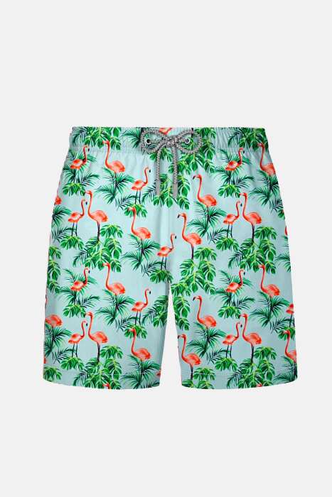 Ayyıldız 845 Erkek Yeşil Deniz Şortu - AYYILDIZ