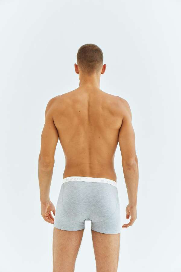 Mineral 50 Erkek Gri Boxer - 2