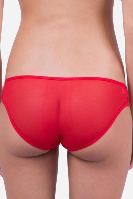 Ayyıldız 1346 Kırmızı Külot - 2