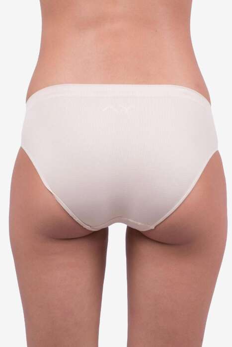 Ayyıldız 02 Ten Düşük Bel Külot - AYYILDIZ (1)