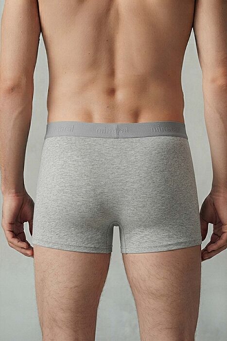 Mineral 51 Man Erkek Gri Boxer Külot - 3